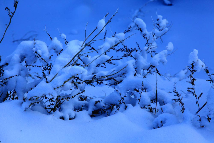 开着房车去看阿尔山第一场雪